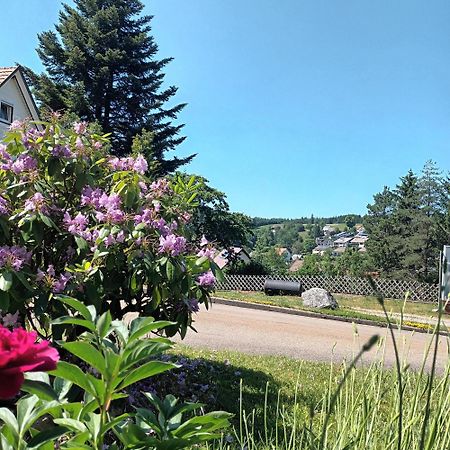 Ferienwohnung Brigachglueck Sankt Georgen im Schwarzwald Exterior photo